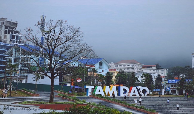 TAM ĐẢO