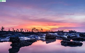 TOUR DU LỊCH MÓNG CÁI - HẠ LONG
