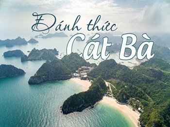 Tour Nghỉ Dưỡng Resort 5 Sao Cát Bà