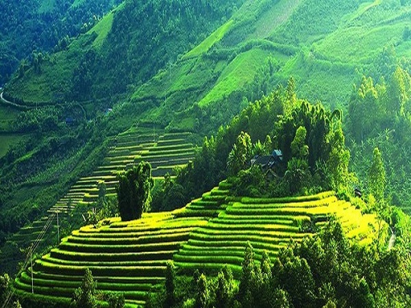 TOUR HẢI PHÒNG - MAI CHÂU