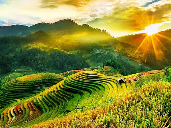 Tour Tú Lệ - Mù Cang Chải 