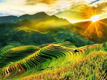 Tour Tú Lệ - Mù Cang Chải 