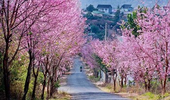 TOUR HẢI PHÒNG - ĐÀ LẠT THÀNH PHỐ MỘNG MƠ