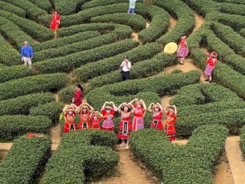 TOUR  MAI CHÂU - MỘC CHÂU TRẢI NGHIỆM CUỘC SỐNG TÂY BẮC