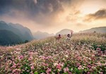 KHÁM PHÁ VÙNG CAO HÀ GIANG VỚI NÉT ĐẸP MÊ HOẶC